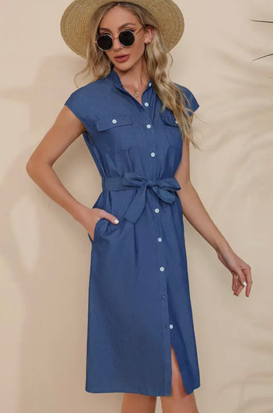 SIMPLE BUTTON UP DRESS W/STAND UP COLLAR S0467